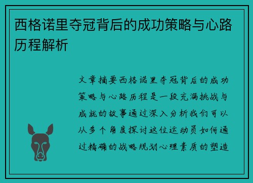 西格诺里夺冠背后的成功策略与心路历程解析